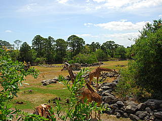 Brevard Zoo