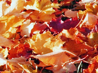 Herbstgewinnspiel
