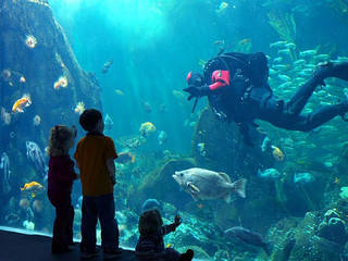 Vancouver Aquarium