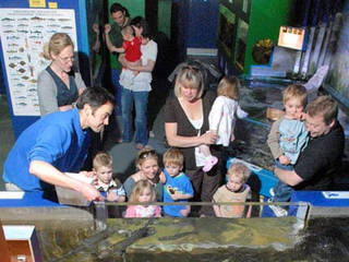 Ilfracombe Aquarium