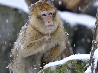 Bayerns schönste Zoos