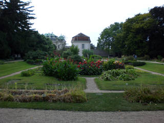 Botanischer Garten der Universität Wien