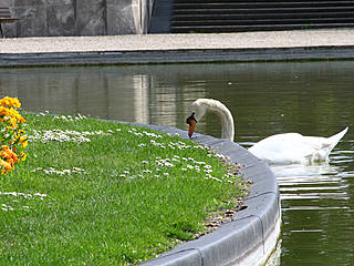 Parc floral de Paris