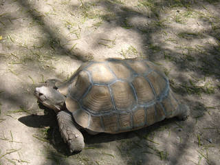 Alameda Park Zoo