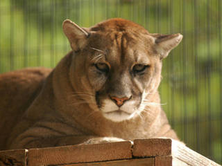 Two Rivers Wildlife Park