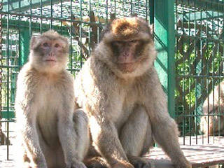 Tierpark Merzig