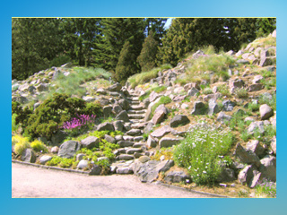 Botanischer Garten Rostock