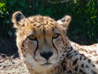 Exmoor Zoological Park