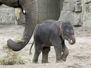 Tierpark Berlin