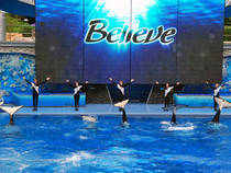 Believe - Shamu Show: