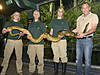 Grösste Schlange der Welt im Tiergarten Schönbrunn