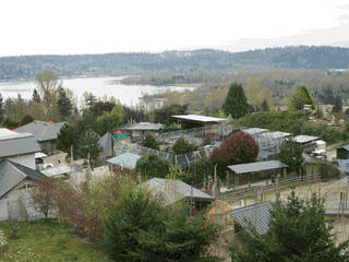 Cougar Mountain Zoo