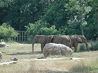 Nashville Zoo