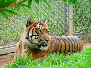 Jerusalem Biblical Zoo