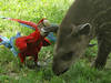 Zoo Salzburg - Tapirmädchen hat nun einen Namen
