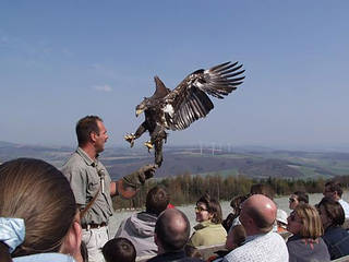 Wildpark und Greifvogelzoo Potzberg