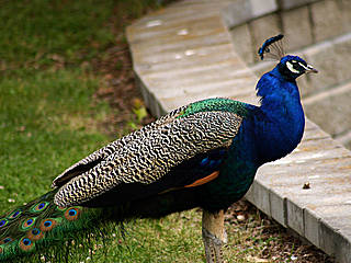 Assiniboine Park Zoo