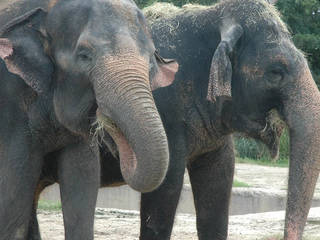 Central Florida Zoological Park