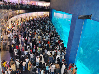 Dubai Aquarium and Under Water Zoo