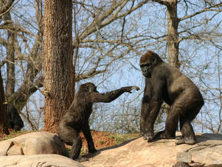 Oklahoma City Zoo And Botanical Garden Tierpark In Oklahoma City