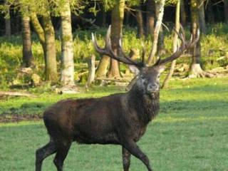 BergTierPark Blindham