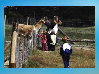 Hirtshals Fun-Park