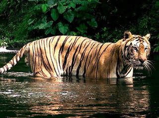 Taman Safari Pasuruan