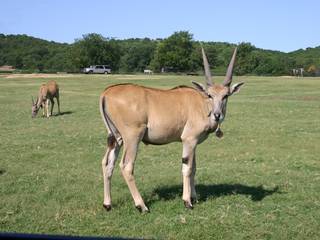 Arbuckle Wilderness Park