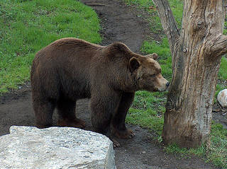 Wild- und Freizeitpark Allensbach