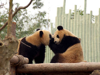 Shanghai Zoological Park