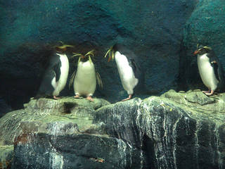 Underwater World Langkawi