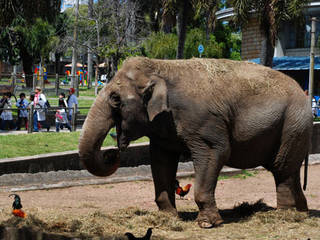 Zoo Villa Dolores