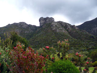 Kirstenbosch National Botanical Garden