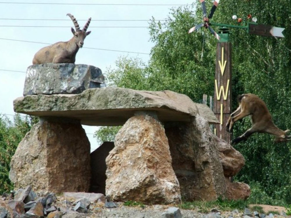 Bergwildpark Meißner