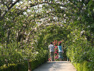 The Lost Gardens of Heligan