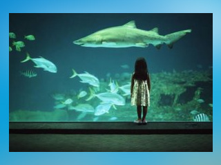 North Carolina Aquarium on Roanoke Island