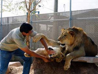 Southern Nevada Zoo