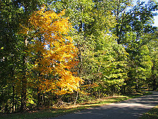 Bernheim Arboretum and Research Forest