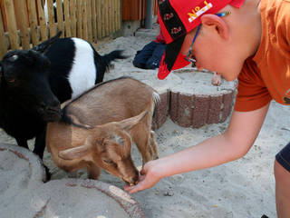 Wildpark Schwarzach