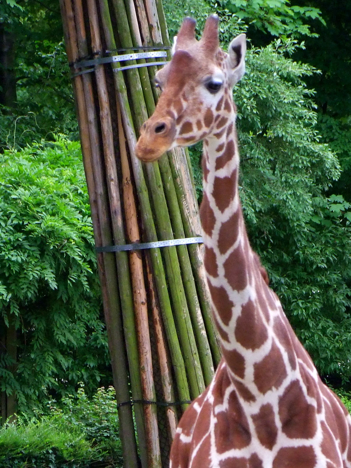 Park Im Focus Allwetterzoo Münster