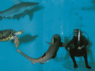 Grand Aquarium de Saint-Malo