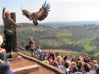 Greifvogelwarte Riegersburg