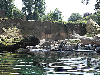 Zoo Dresden