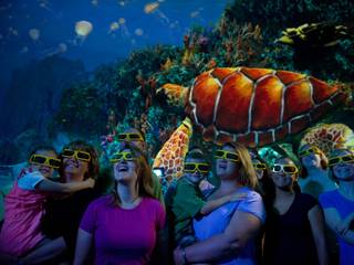 Turtle Trek © SeaWorld Orlando