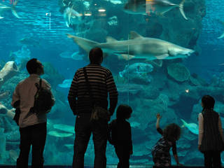 Blue Planet Aquarium