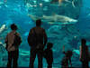 Blue Planet Aquarium © Joccay