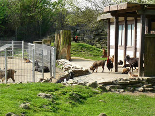 Wildpark Reuschenberg