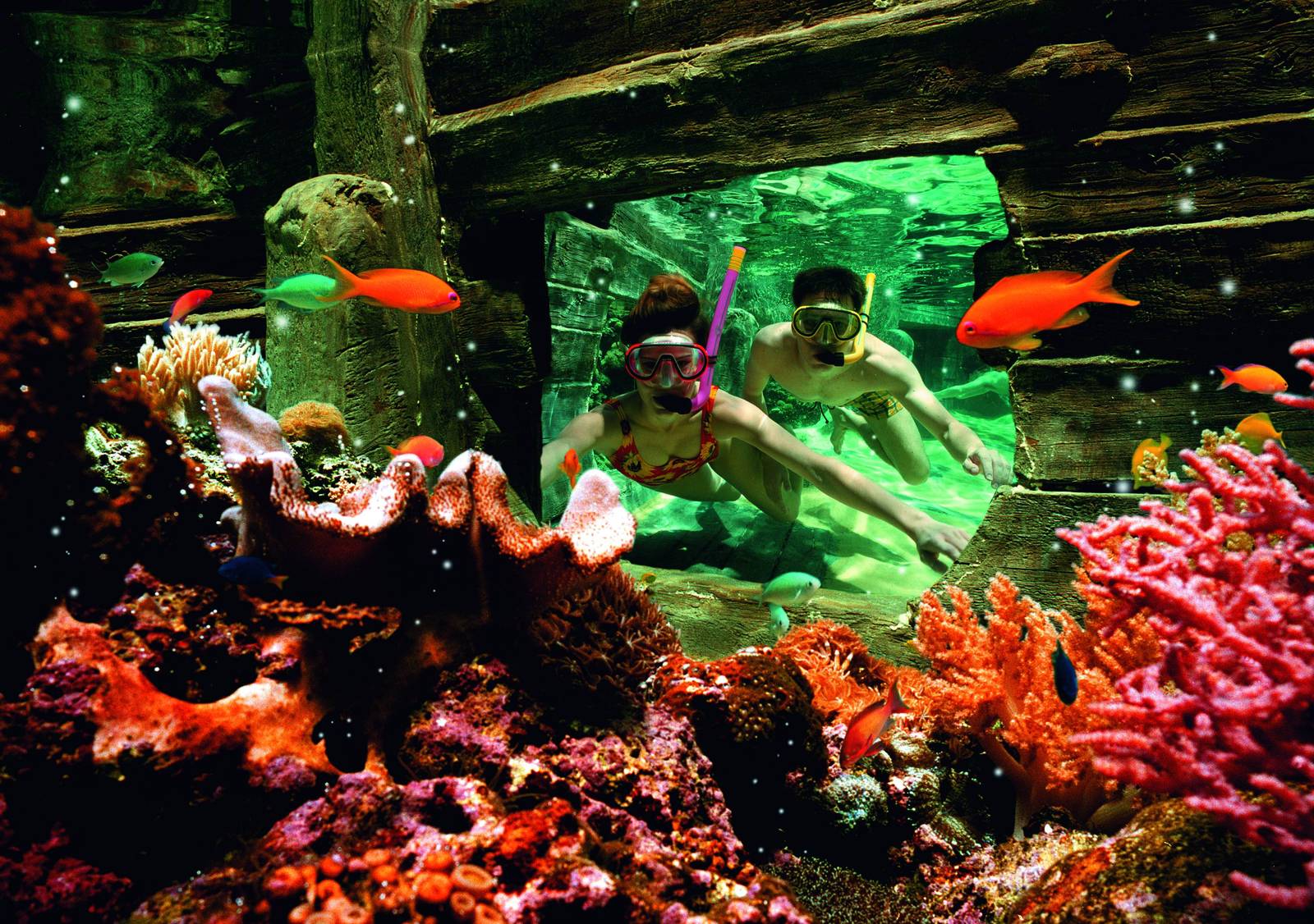 © Center Parcs
