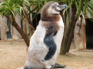 Sea Life & Marine Park Weymouth