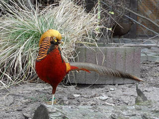 Vogelpark Teltow